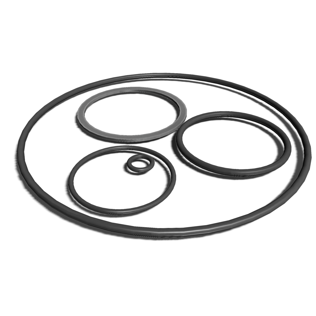 Serfilco O-Ring