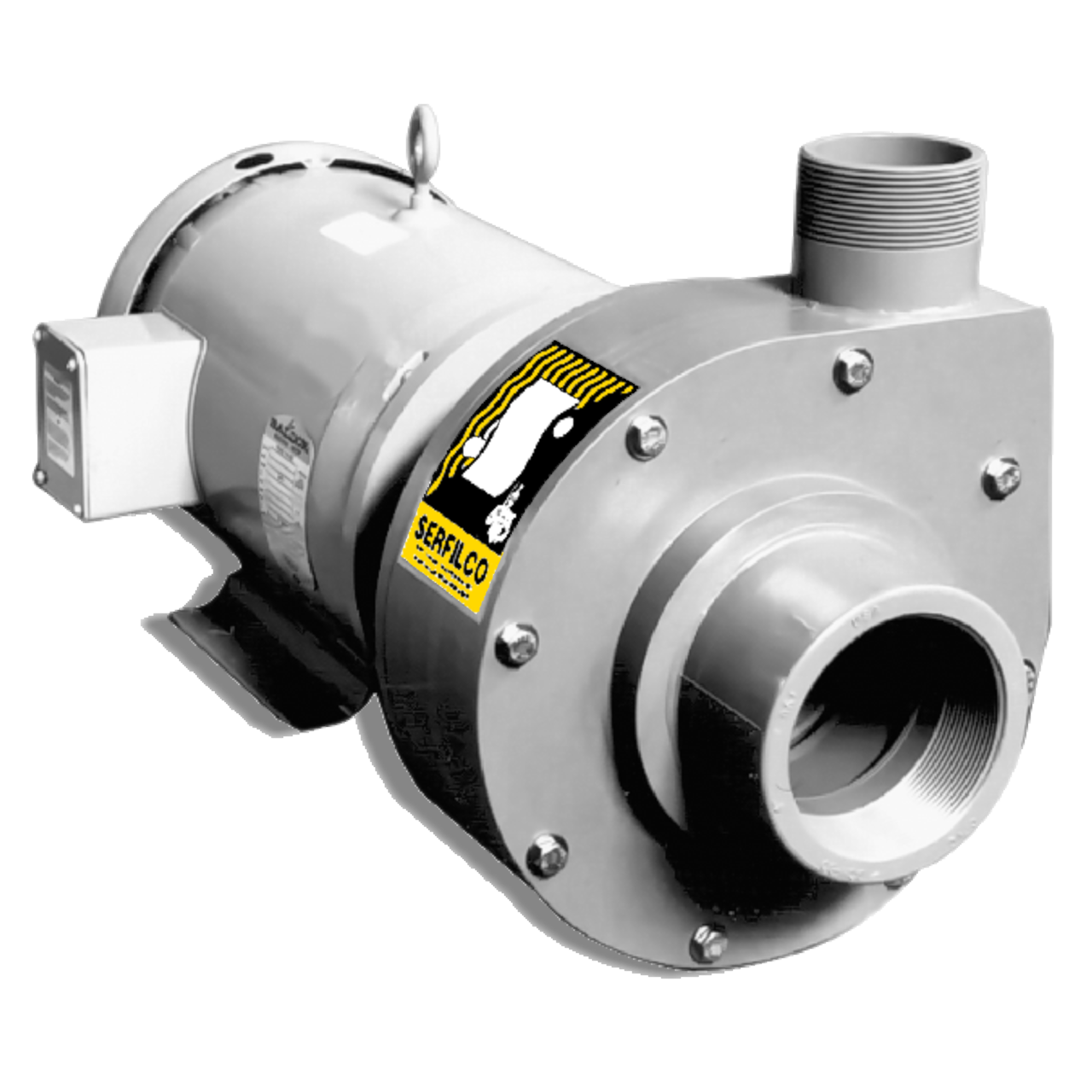Serfilco H Pump