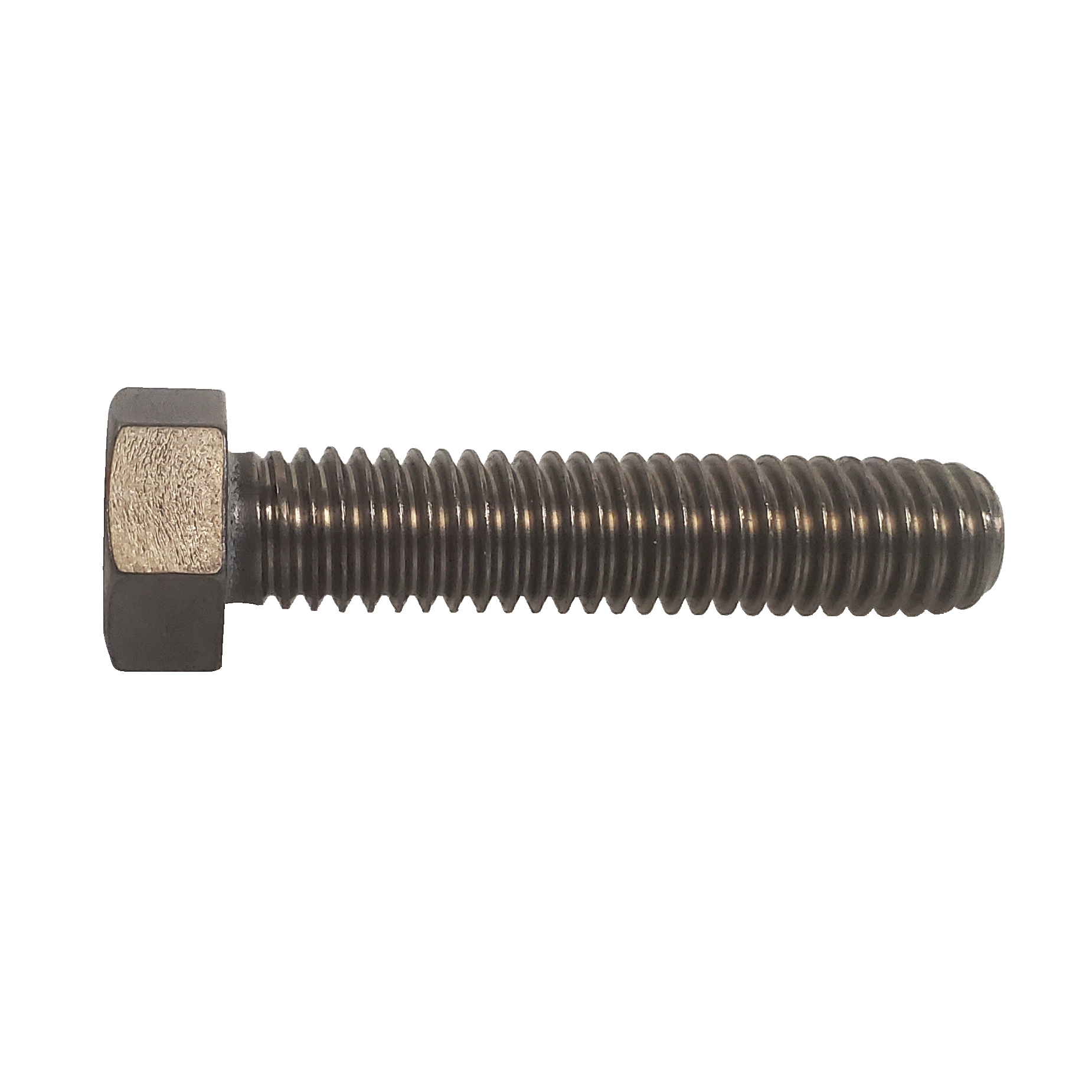 Serfilco Ti  Fastner 11-0374-T