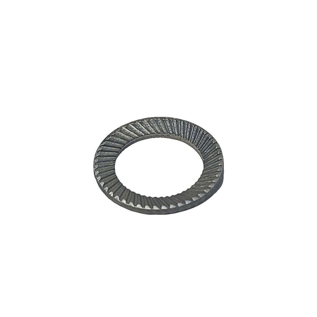 Serfilco SS  Fastner 11-2175