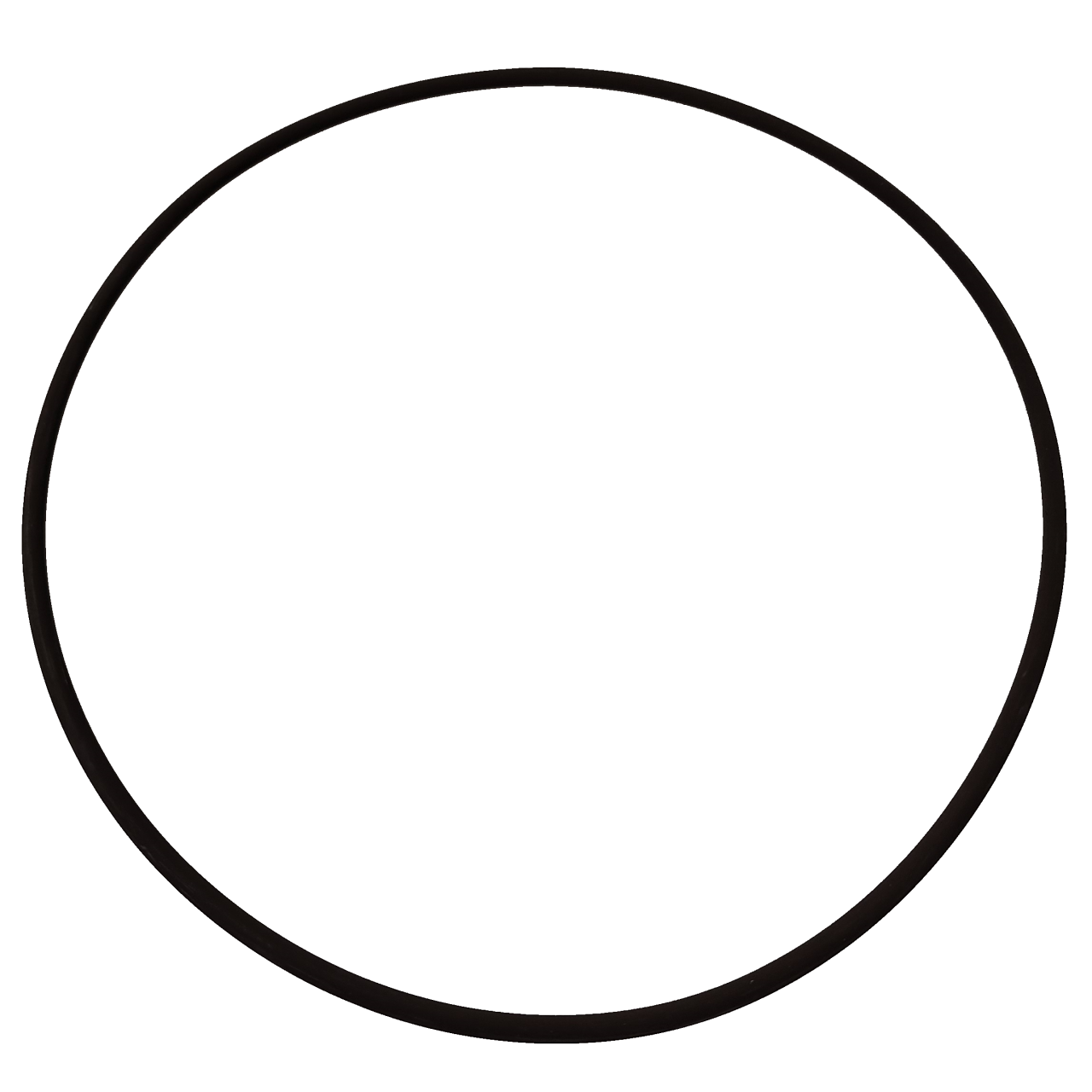 Serfilco FKM  O-Ring 22-0861